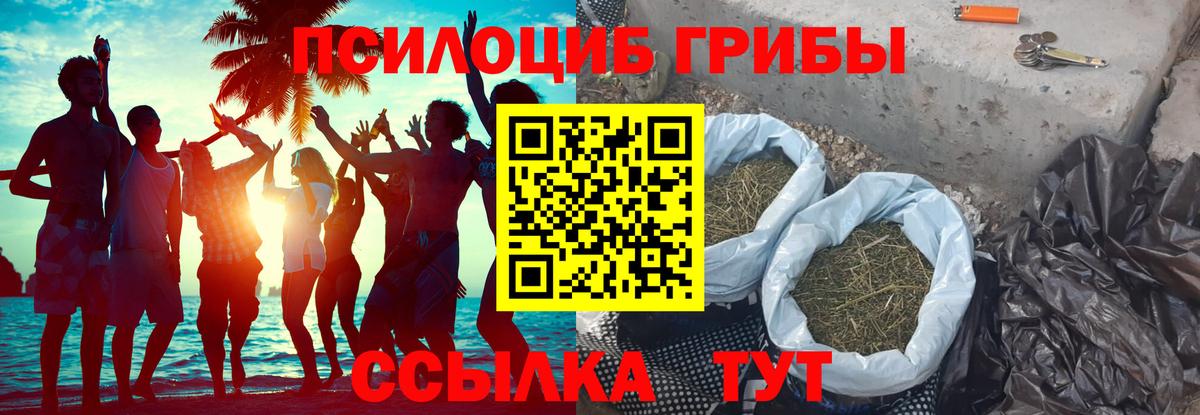 Псилоцибиновые грибы MAGIC MUSHROOMS  Вход с VPN  Грязи  Псилоцибиновые грибы Psilocybine cubensis 